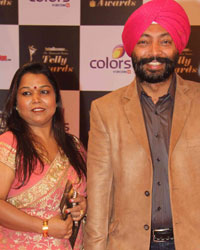 Indian Telly Awards 2014