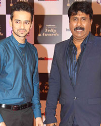 Indian Telly Awards 2014