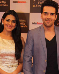 Indian Telly Awards 2014