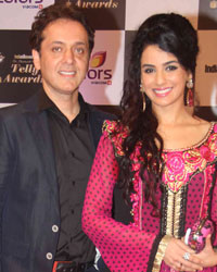 Indian Telly Awards 2014