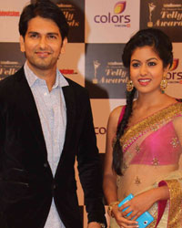 Indian Telly Awards 2014