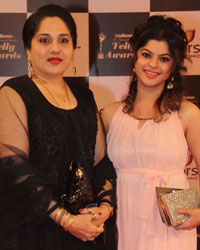 Indian Telly Awards 2014