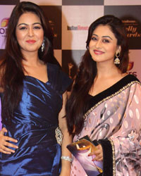 Indian Telly Awards 2014