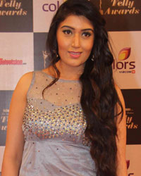 Indian Telly Awards 2014