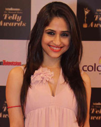 Indian Telly Awards 2014