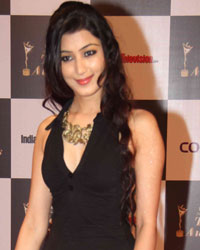 Indian Telly Awards 2014