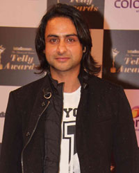 Indian Telly Awards 2014