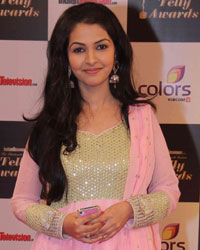 Indian Telly Awards 2014