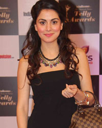 Indian Telly Awards 2014