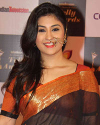 Indian Telly Awards 2014