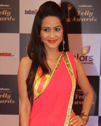 Indian Telly Awards 2014