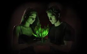 'Glow-in-the-dark' plants to soon light up your homes