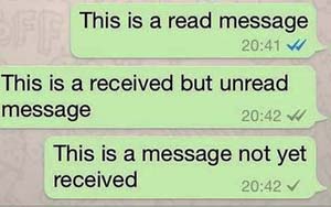 WhatsApp introduce blue ticks to let users know when messages are read