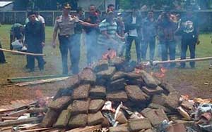 Jakarta police gets entire town 'high' after blazing 3.3 tons weed