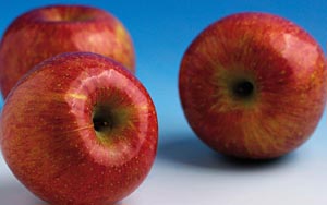 The myth about apples and doctors Revealed