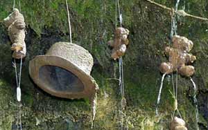The Petrifying Well of Knaresborough Turns Objects into Stone