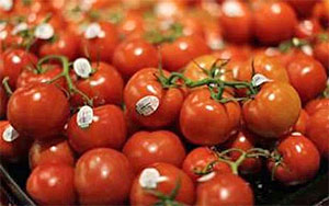 Fighting cancer with tomatoes