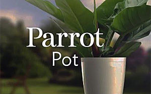  This High-Tech Flower Pot Can Keep Any Plant Alive