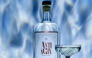 Introducing Anti-aGin - The World's First Anti-Aging Gin