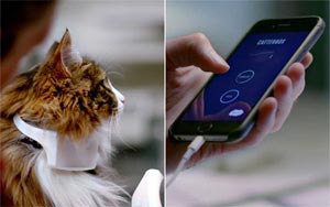 Catterbox - A Smart Collar That Translates Cat Meows into Human Speech