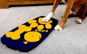 English Company Creates World's First TV Remote Control for Dogs