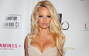 Pamela Anderson wants to be a professional erotica writer