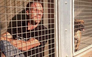 Comedian to Live in Dog Shelter Kennel until All 300 Canine Residents Get Adopted