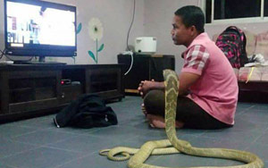 Man Lives with Snake He Thinks Is His Dead Girlfriend Reincarnated