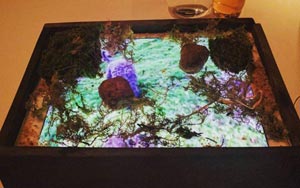 San Francisco Restaurant Serves Food on iPads instead of Plates