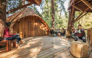 Microsoft built treehouse offices for employees