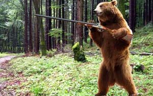 Brown Bear Armed with Two Guns Is Apparently on the Loose in Siberia