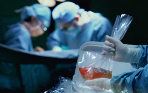 Husband steals wife's kidney to cover unpaid dowry