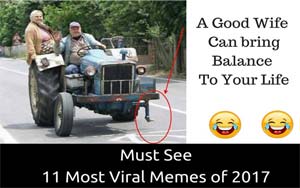 Must See 11 Most Viral Memes of 2017