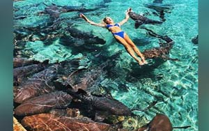 Shark Bites Instagram Model During Photo Shoot