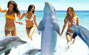 Sexually Frustrated Dolphin Prompts Swimming Ban at French beach