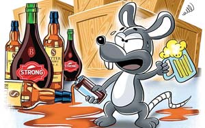 Rats Drank 1,000 Litres of Seized Liquor - UP Police