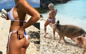 Model's Photoshoot At Pig Island Goes Very Wrong