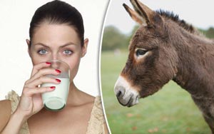 No kidding: Donkey's milk is the new elixir