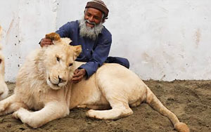 Lion Unleashed On Man For Demanding Wages In Lahore: Report