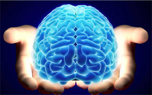 Indians have smaller brains: study