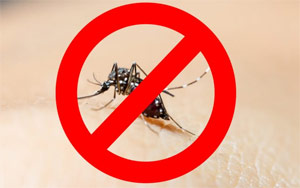 Man Claims His Farts Can Kill Mosquitoes Six Meters Away