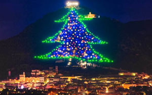 Small Italian Town Lights Up World's Largest Christmas Tree