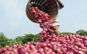 Truck Hijacked, Onions Worth Rs 3.5 Lakh Looted in Bihar 