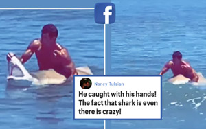Man Grabs Shark In Ocean, Holds Its Jaws Open In A Crazy' Video