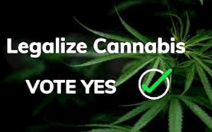 Besides Trump vs Biden, 5 US States Vote to Legalise Marijuana