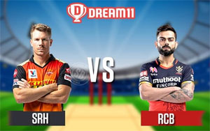 IPL 2020 - Eliminator - Sunrisers Hyderabad vs Royal Challengers Bangalore - Preview and Predictions