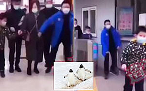 Anal Swab Test For COVID Won't Make You Walk Like Penguins: China Says Viral Video 'Fake'