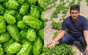 Farmer from Bihar grows the world's most expensive vegetable!