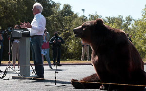 California Governor Candidate Brings 500 Kg Bear To Rally