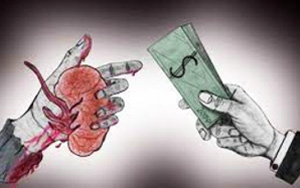 Hyderabad Couple Tries to Sell Kidneys to Clear Debts, Get Duped of Rs 40 Lakh Instead